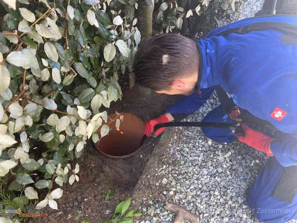 Rioolvliegjes Zoetermeer Rioolvliegjes Zoetermeer